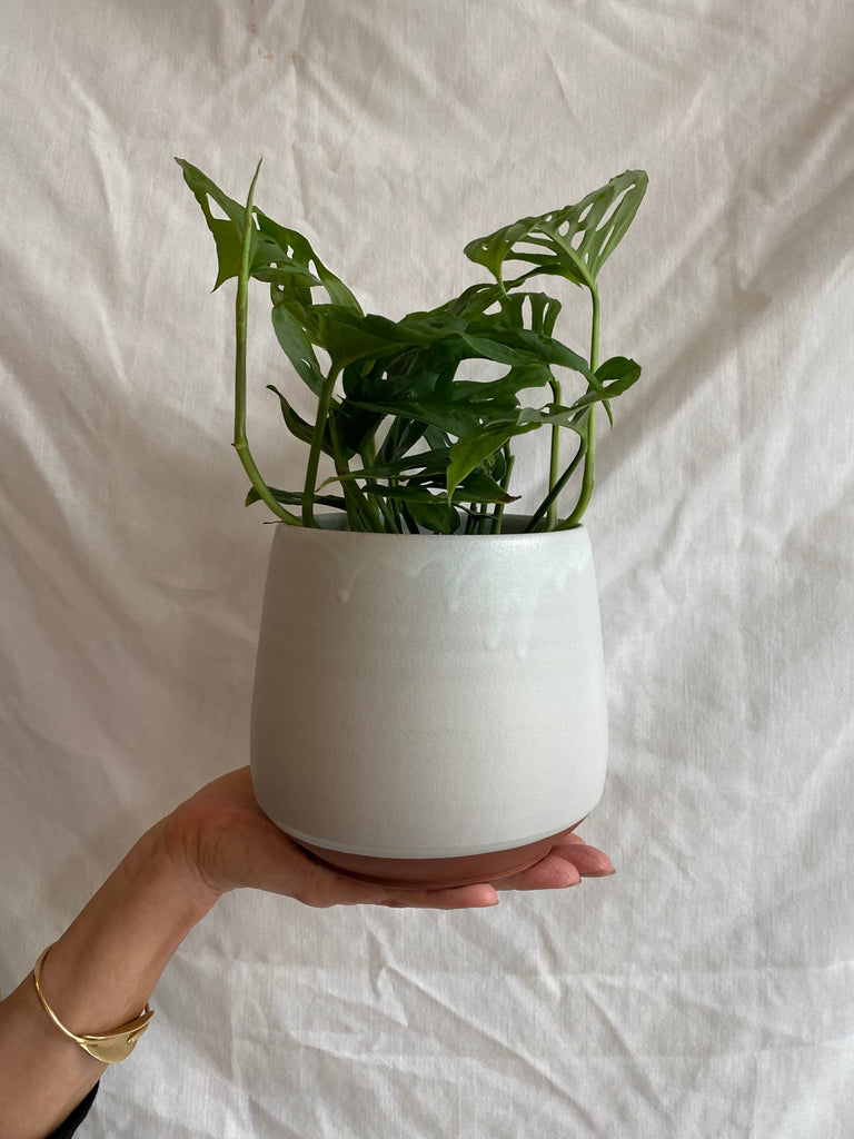 Kalika Bowlby-Dusk Planter-Kitchenware-Mint-O/S-Much and Little Boutique-Vancouver-Canada