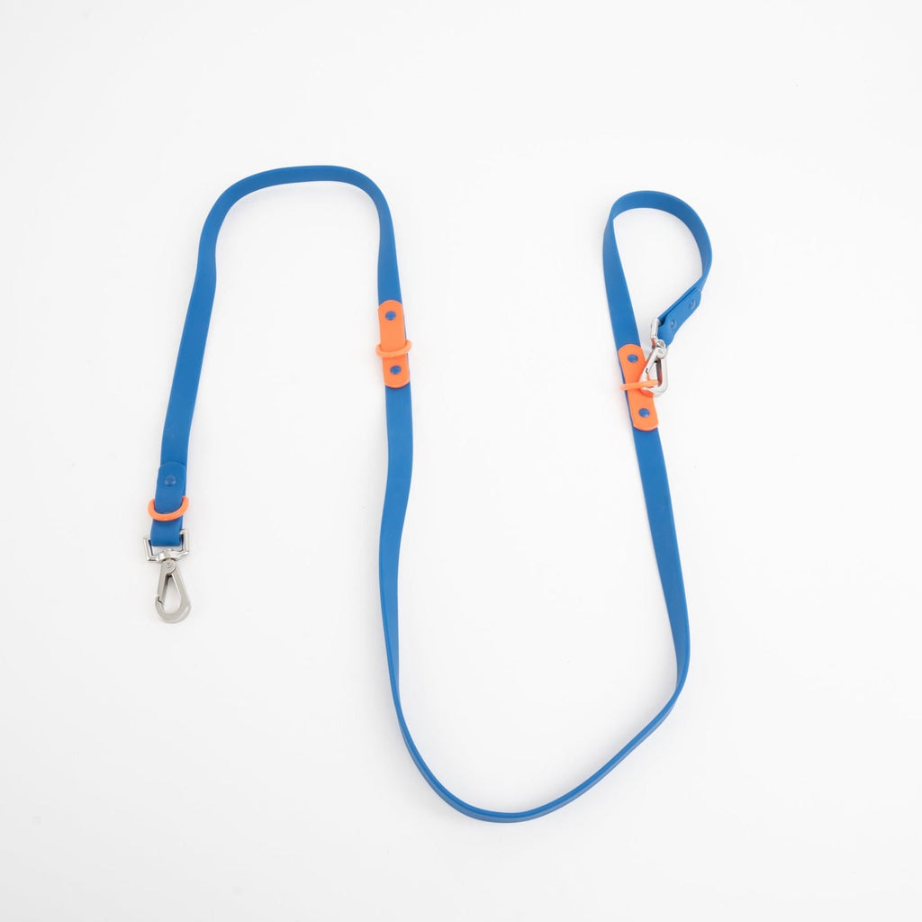 Approved by Fritz-Standard Adjustable Leash-Pets-Blue/Orange-Much and Little Boutique-Vancouver-Canada