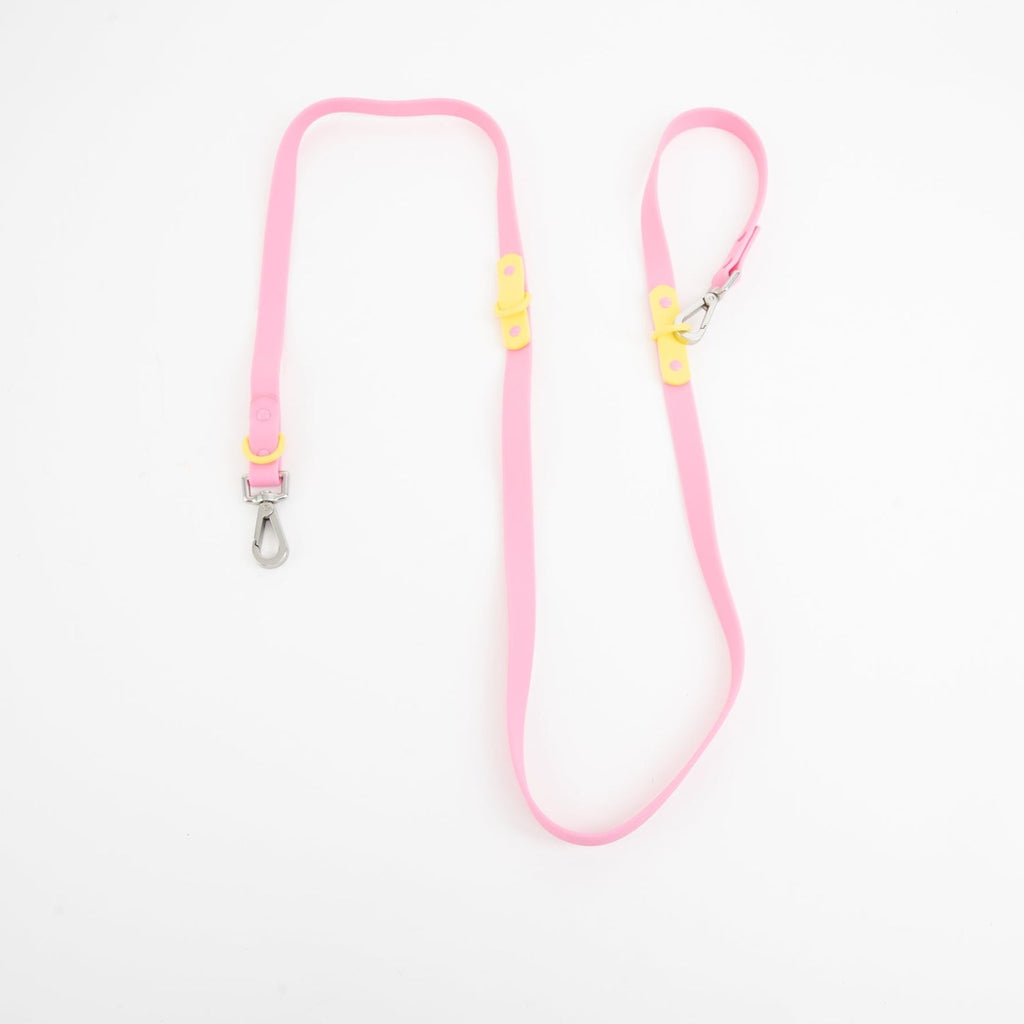 Approved by Fritz-Standard Adjustable Leash-Pets-Pink Lemonade-Much and Little Boutique-Vancouver-Canada