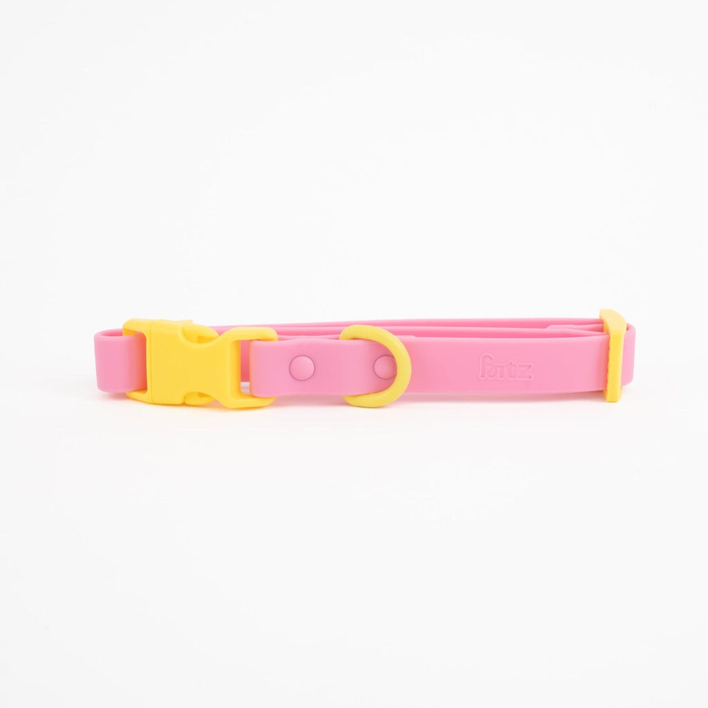 Approved by Fritz-Dog Collar-Pets-Pink Lemonade-Small-Much and Little Boutique-Vancouver-Canada