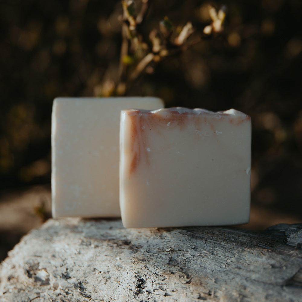 Somerset Moss-Exfoliating Soap Bar-Body Care-Much and Little Boutique-Vancouver-Canada