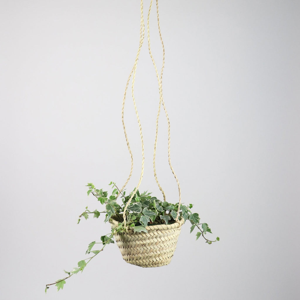 Socco Designs-Everglades Straw Plant Hanger-Art & Decor-Much and Little Boutique-Vancouver-Canada