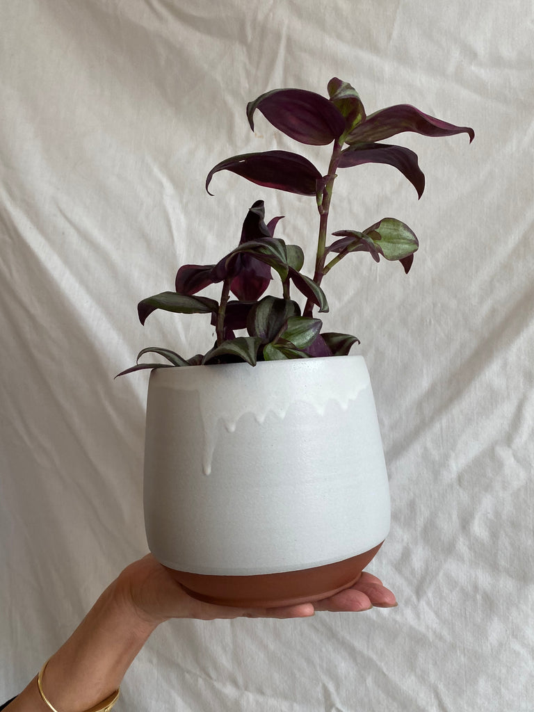 Kalika Bowlby-Dusk Planter-Kitchenware-White-O/S-Much and Little Boutique-Vancouver-Canada